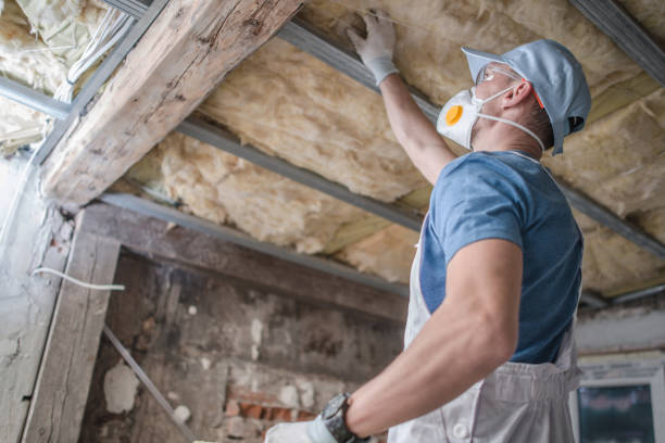 Best Eco-Friendly Insulation in Hidden Hills, CA