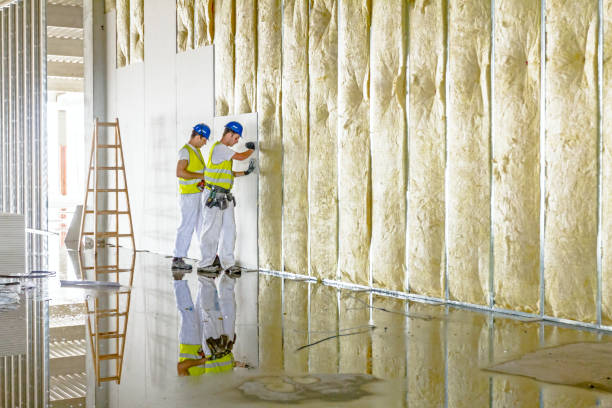 Best Insulation Maintenance and Repair in Hidden Hills, CA